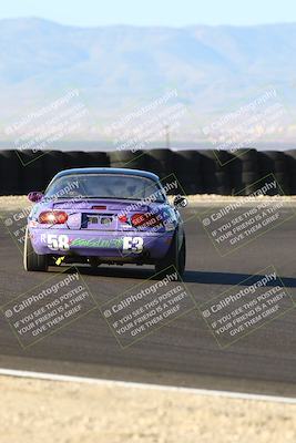 media/Mar-09-2025-Speed SF (Sun) [[8a8bdab083]]/Enduro Race/